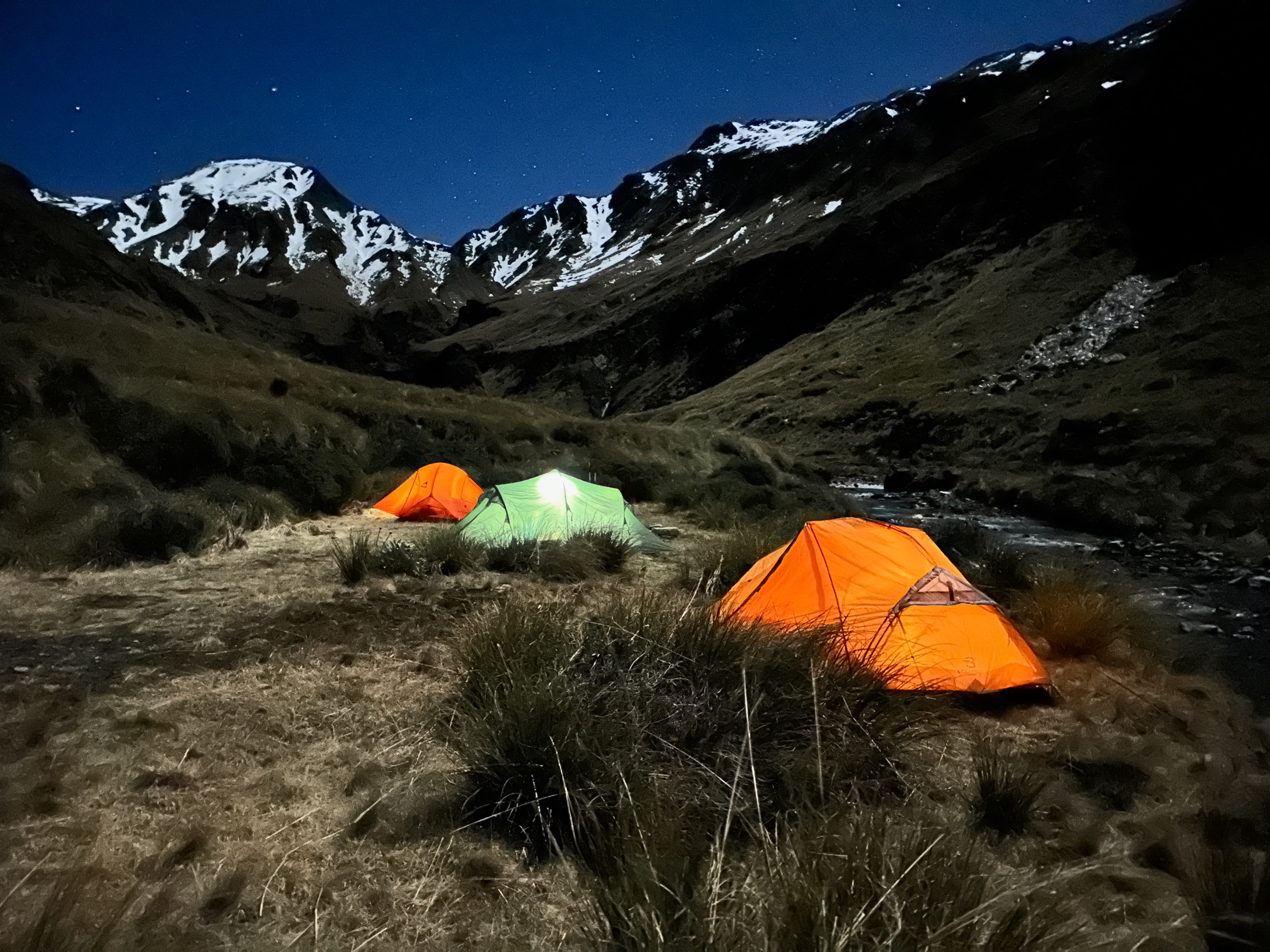 Three small tents pitched on a tussock flat beside a creek under moonlight, one lit from inside, with snow-covered peaks and stars above.